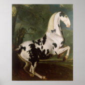De Piebald Stallion van de Eisgruber-studie Poster (Voorkant)