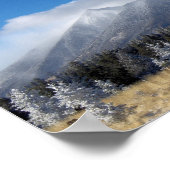 De pieken van het personeel in San Francisco in he Poster (Hoek)