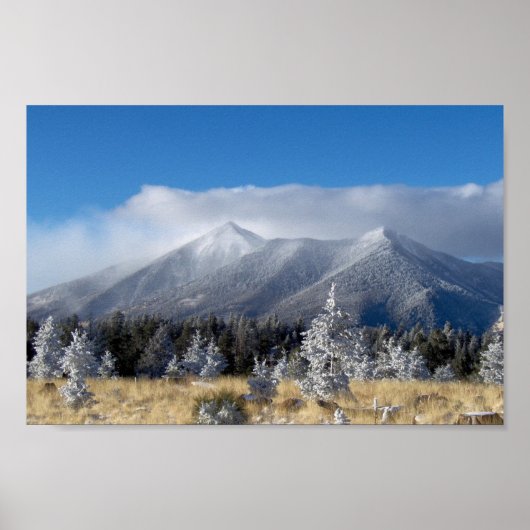 De pieken van het personeel in San Francisco in he Poster (Voorkant)