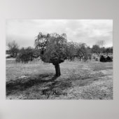 De piepende boom poster (Voorkant)