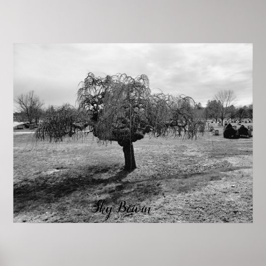 De piepende boom poster (Voorkant)