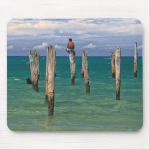 De pier in Coqueiros strand in Trancoso Muismat