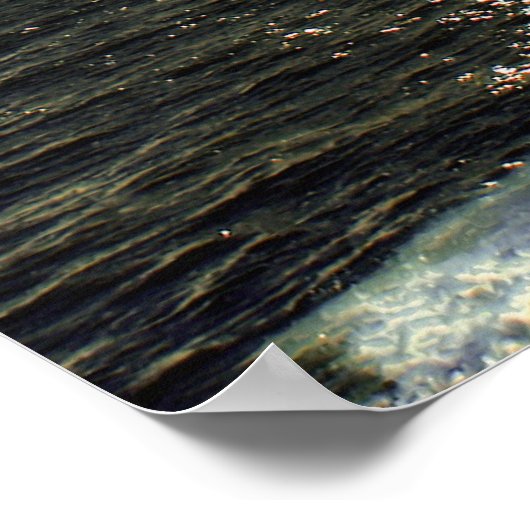 De pijlen en de waterkrab poster (Hoek)