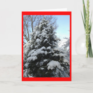 De Pijnboom van de sneeuw Feestdagen Kaart