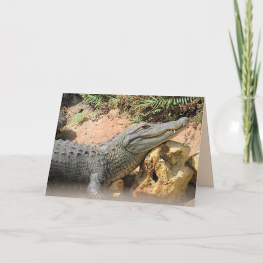 De piloot van de gator - Alligator gevouwen Kaart (Voorkant)