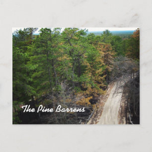 De pine Barrens Briefkaart