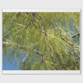 De pinebak cadeaupapier (Vlak)