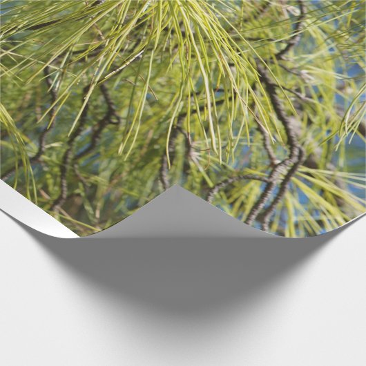 De pinebak cadeaupapier (Hoek)