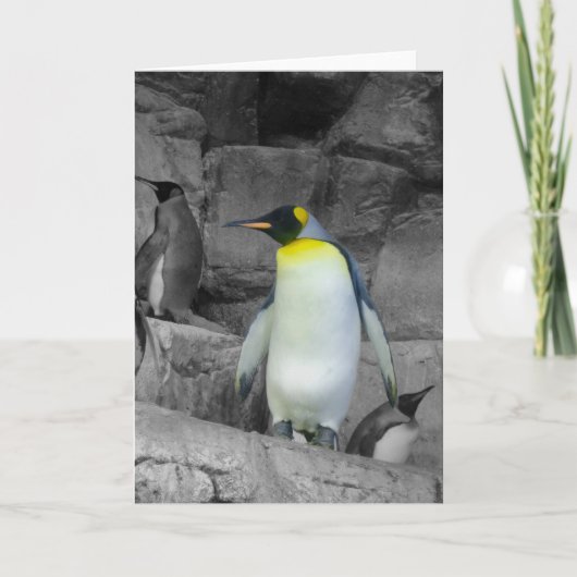 De Pinguïn van de keizer Kaart (Voorkant)