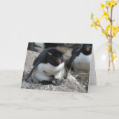 De Pinguïn van Rockhopper met Kuikens Kaart (Gele Bloem)