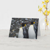 De Pinguïnen van de koning Kaart (Gele Bloem)