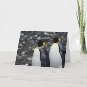 De Pinguïnen van de koning Kaart