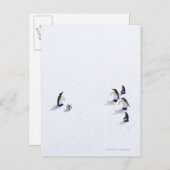 De pinguïns die voetbal spelen briefkaart (Voorkant / Achterkant)