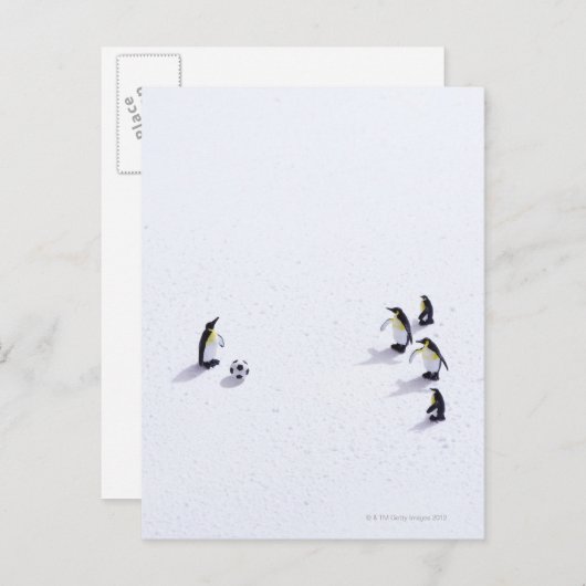 De pinguïns die voetbal spelen briefkaart (Voorkant / Achterkant)