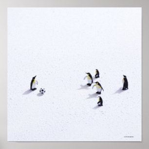 De pinguïns die voetbal spelen poster