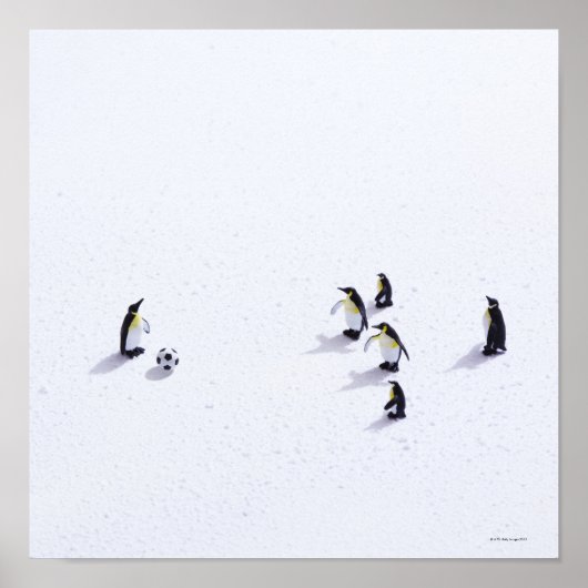 De pinguïns die voetbal spelen poster (Voorkant)