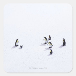 De pinguïns die voetbal spelen vierkante sticker