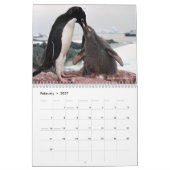 De pinguïns zijn de Kalender 2022 van de Koel met  (Feb 2027)