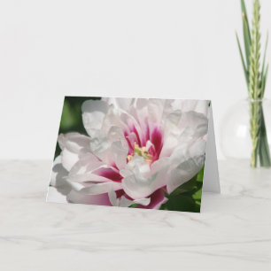 De Pioen "Cora Louise " van Itoh Kaart