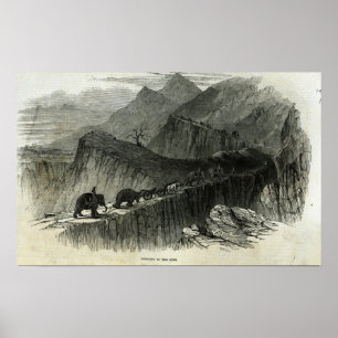 De pistolen omhoog brengen poster