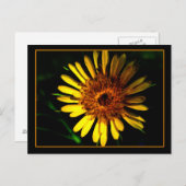 De plaats van het Briefkaart (Voorkant / Achterkant)