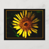 De plaats van het Briefkaart (Voorkant)