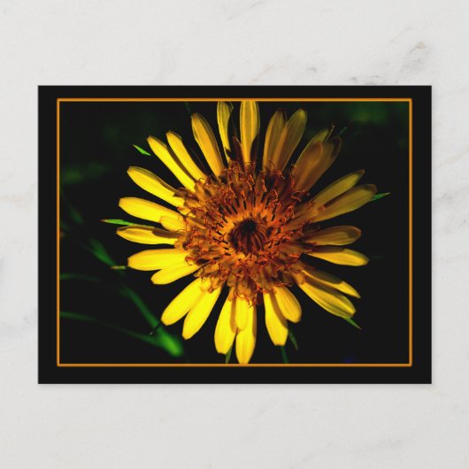 De plaats van het Briefkaart (Voorkant)