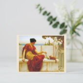 De plagerij door John William Godward Briefkaart (Staand voorkant)