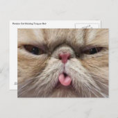 De Plakkende Tong van de Perzische kat uit Briefkaart (Voorkant / Achterkant)