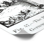 De planetaire systemen poster (Hoek)