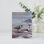 De Plevieren & Turnstones van Weber Briefkaart (Staand voorkant)