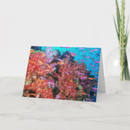 De Plons van de Kleur van Fiji Kaart (Voorkant)