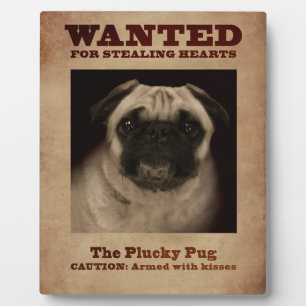 De Plucky Pug Plaque Fotoplaat