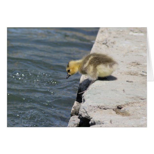 De Plunge innemen (Voorkant Horizontaal)