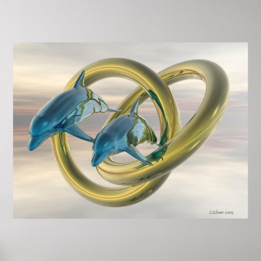 De Plunge innemen Poster (Voorkant)