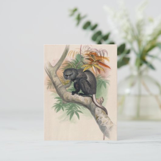 De Pluto Monkey van Joseph Wolf Briefkaart (Staand voorkant)