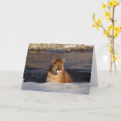 De Poema van de winter Kaart (Gele Bloem)