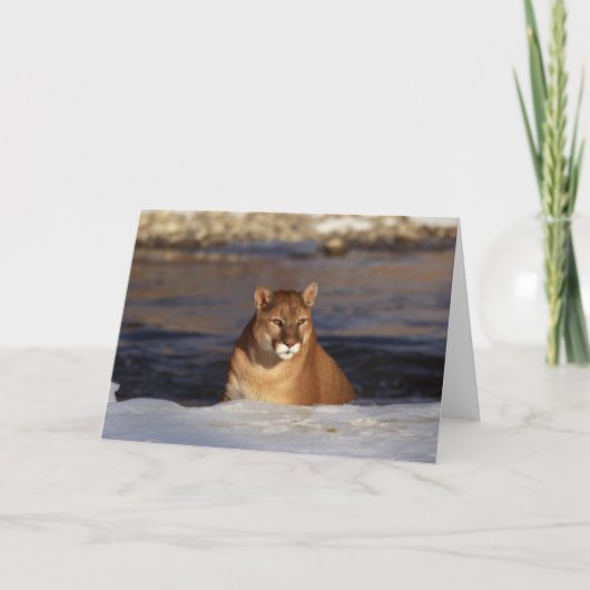 De Poema van de winter Kaart (Voorkant)