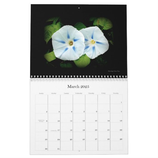 'De poëzie van bloemen' 2026 Kalender (Mar 2025)