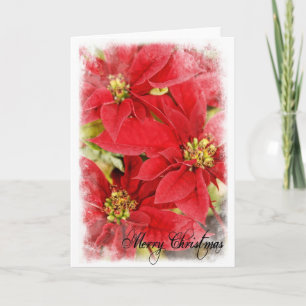 De Poinsettia van Kerstmis Feestdagen Kaart