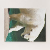 DE POLAIRE BEER-puzzel Legpuzzel (Horizontaal)