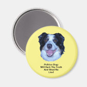 De politieke grens collie barst de waarheid en de  magneet (Voorkant / Achterkant)