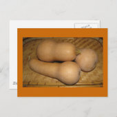 De Pompoen van Butternut Briefkaart (Voorkant / Achterkant)