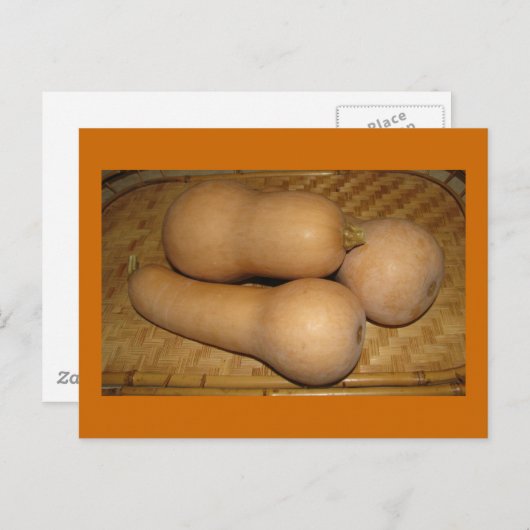 De Pompoen van Butternut Briefkaart (Voorkant / Achterkant)