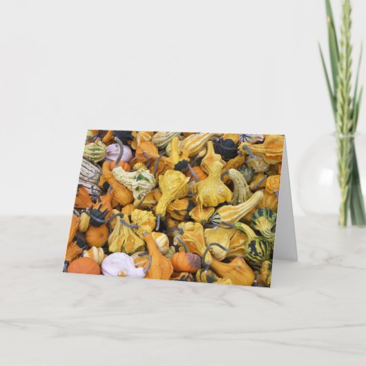 De Pompoenen van de Thanksgiving Feestdagen Kaart (Voorkant)