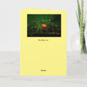 De pompoenparade feestdagen kaart (Achterkant)