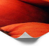 De pompoenpleister poster (Hoek)