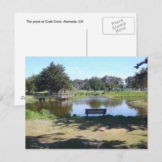 De Pond bij krabbencove Briefkaart (Voorkant / Achterkant)