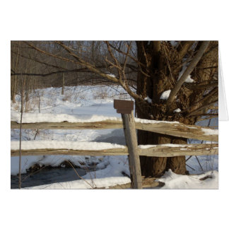 De Pond in de winter