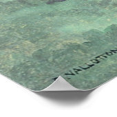 DE POND POSTER (Hoek)